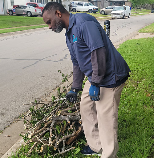 Outdoor area being cleared of waste and debris.